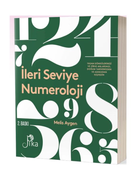 İleri Seviye Numeroloji  (4022)