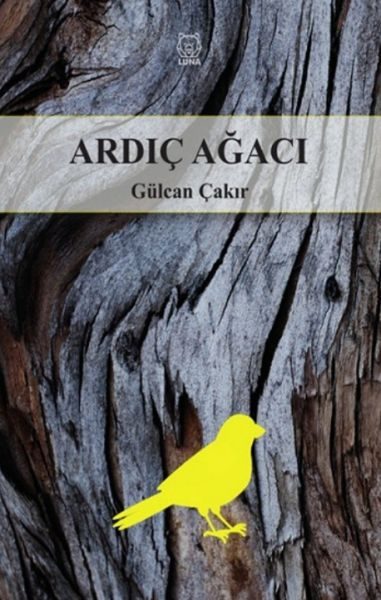 Ardıç Ağacı  (4022)