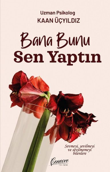 Bana Bunu Sen Yaptın  (4022)