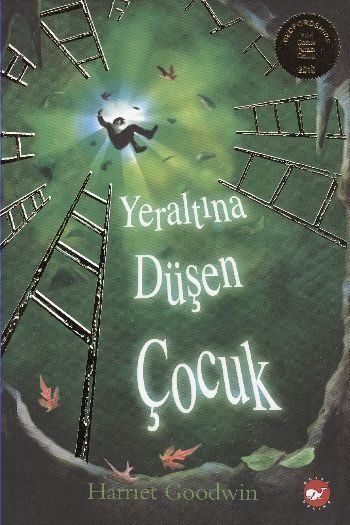 Yeraltına Düşen Çocuk  (4022)