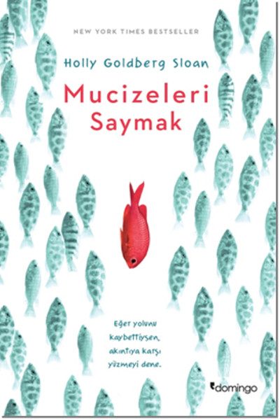 Mucizeleri Saymak  (4022)