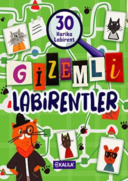 Gizemli Labirentler  (4022)