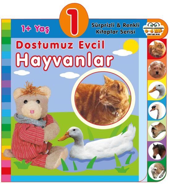 Dostumuz Evcil Hayvanlar (1+Yaş)  (4022)