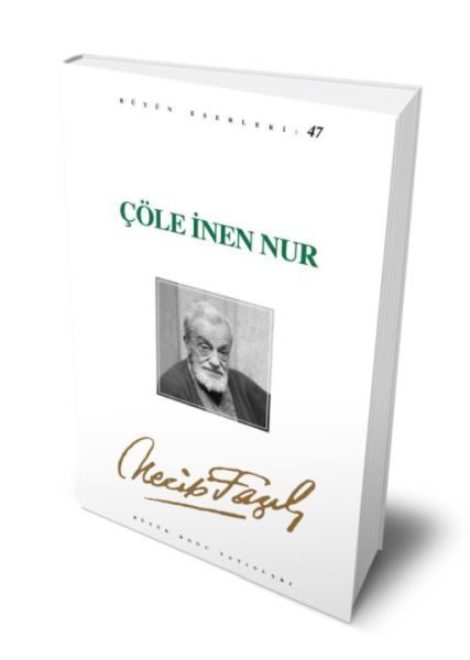 Çöle İnen Nur  (4022)