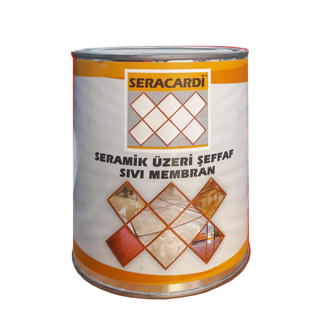 CLZ202 Seracardi Seramik Üzeri Şeffaf İzolasyon 1 Kg