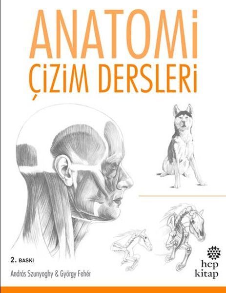 Anatomi Çizim Dersleri  (4022)