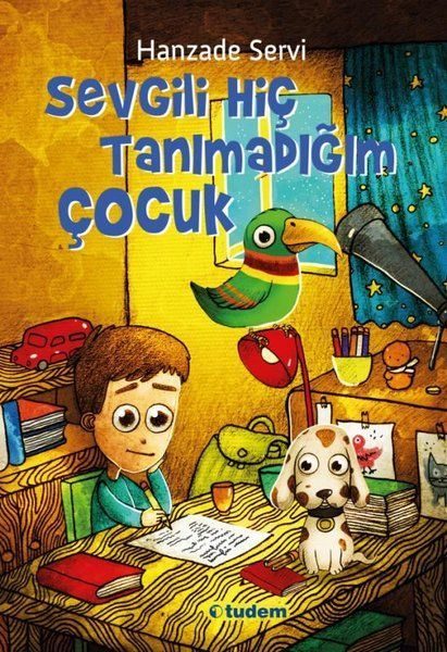 Sevgili Hiç Tanımadığım Çocuk  (4022)