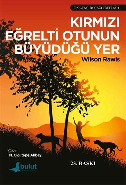 Kırmızı Eğrelti Otunun Büyüdüğü Yer  (4022)