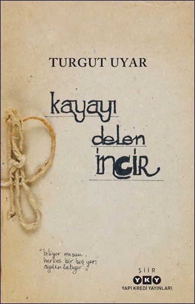 Kayayı Delen İncir  (4022)