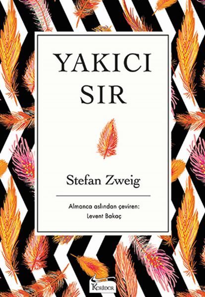 Yakıcı Sır (Bez Ciltli)  (4022)